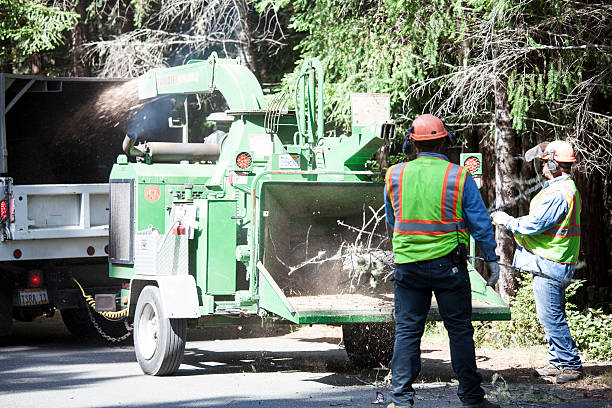 Best Seasonal Cleanup (Spring/Fall)  in Beverly, OH